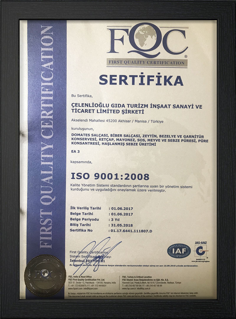 Iso 9001:2008
